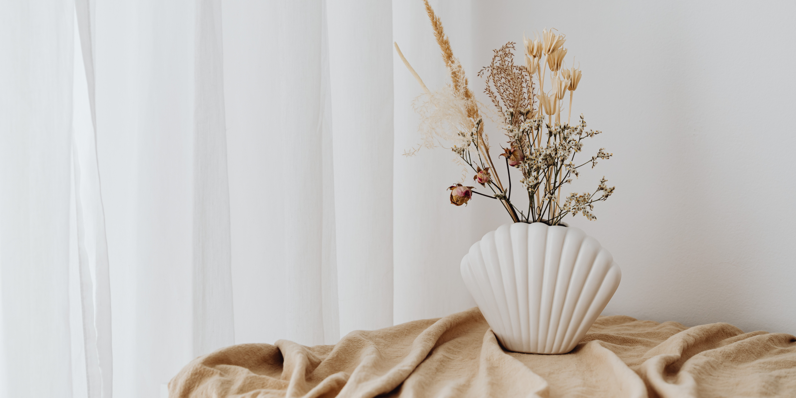 wowshopvalenciacallejesus37 (1)